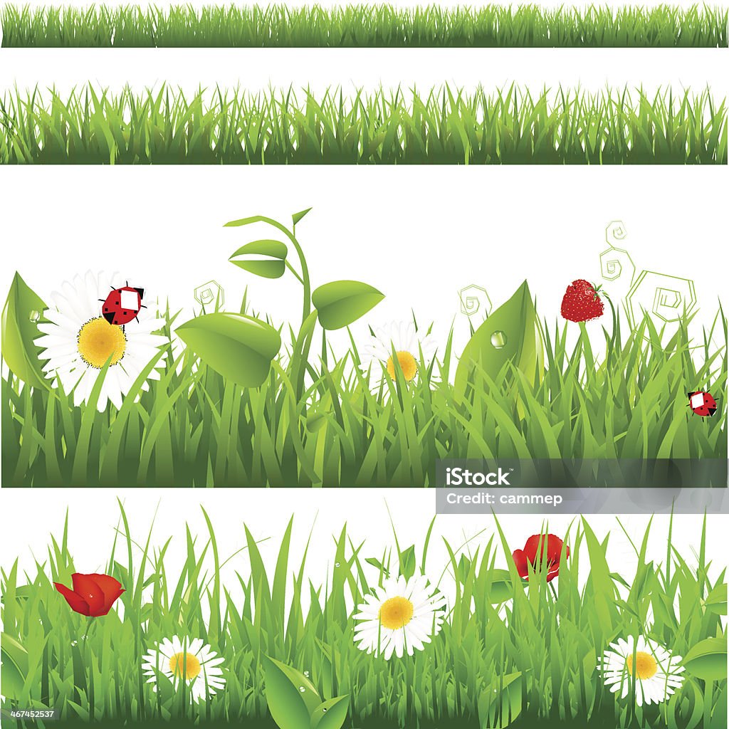 Grass Backgrounds Set With Flowers And Ladybugs Grass Backgrounds Set With Flowers And Ladybugs. Vector Illustration EPS10. Contain transparent objects. Berry Fruit stock vector