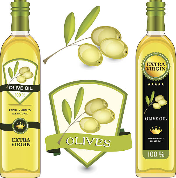 Olive oil in bottle, design of label, branch of olives. vector art illustration