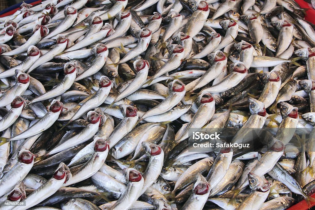 Pescados frescos en el mercado - Foto de stock de Aceite de pescado libre de derechos