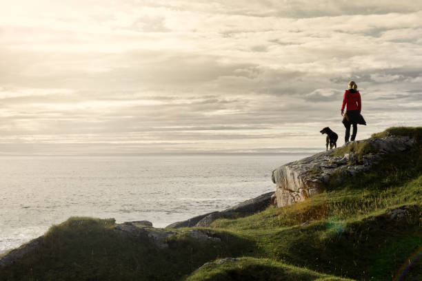 Woman and Dog at Kvalvik Bay stock photo