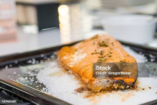 Fillet Of Salmon Stock Photo - Download Image Now - Baked, Baked Salmon, Barbecue Grill