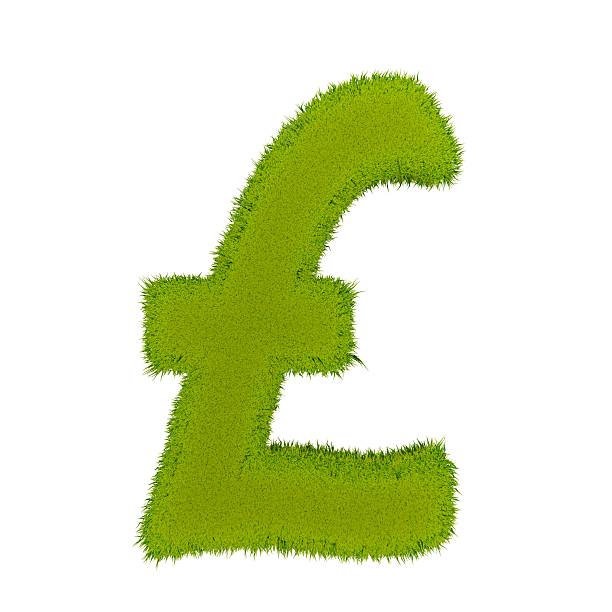herbe symbole de la livre sterling - pound symbol environment grass currency photos et images de collection