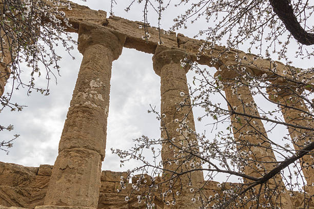 tempel der juno.   tal der tempel, agrigento.   sizilien. - column italy italian culture greece stock-fotos und bilder