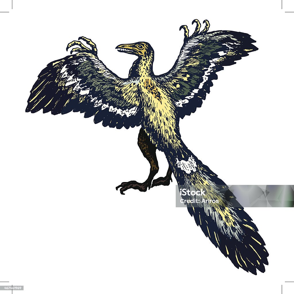 Bí ẩn: Điểu long lông vũ Archaeopteryx liệu có phải thủy tổ của loài chim  hiện nay? - Thế giới động vật
