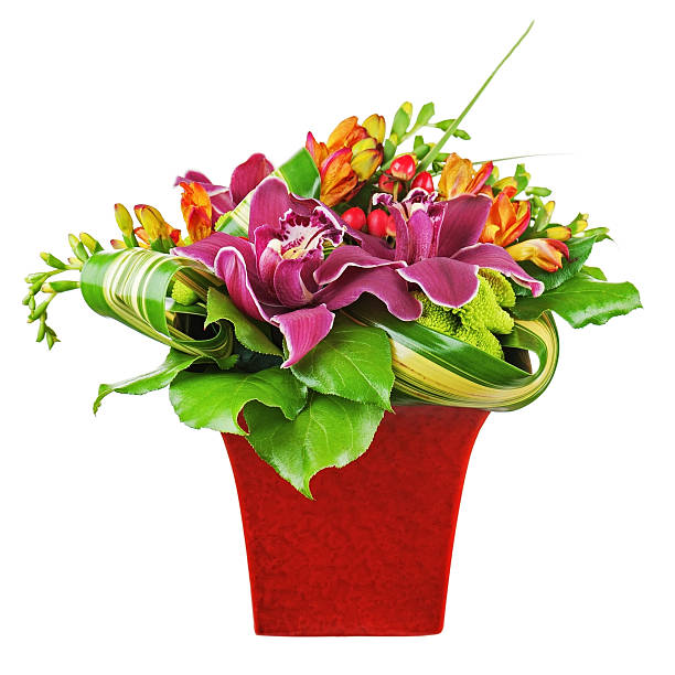 부케 메트로폴리스 난초와 백합 빨간색 꽃병 격리됨에 - gladiolus bouquet vase purple 뉴스 사진 이미지
