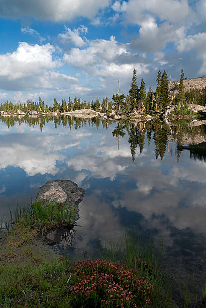 マウンテンレイクリフレクション - stanislaus national forest ストックフォトと画像