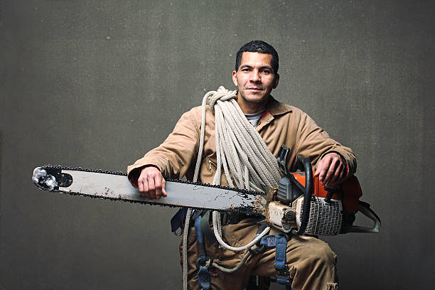 tree surgeon with tools of the trade