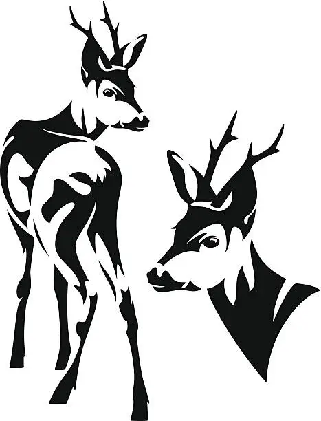 Vector illustration of roe deer