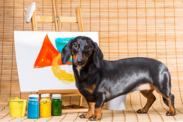 istock Dachshund artist near easel with its masterpiece 467465017