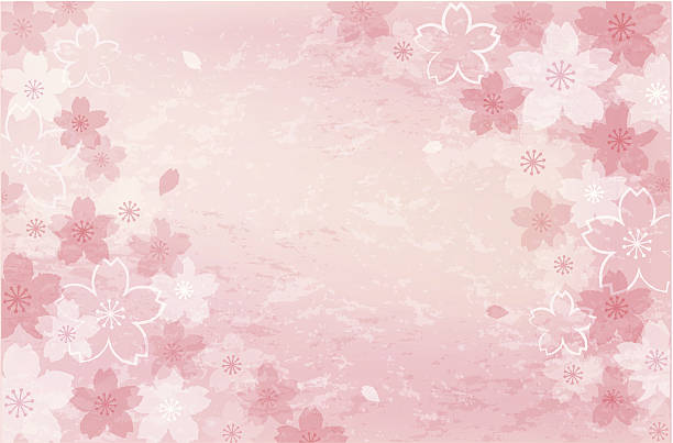 Shabby chic Cherry blossom background vector art illustration