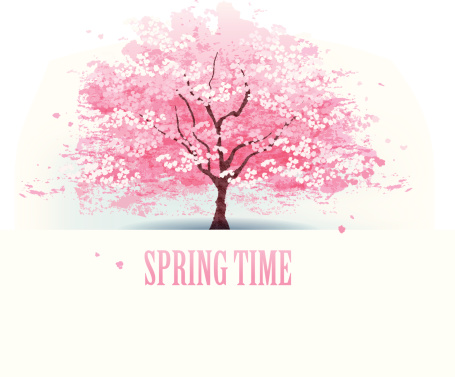 Isolated beautiful cherry blossom tree. File contains Gradients, Transparent, Blending tool, Gradient Mesh.