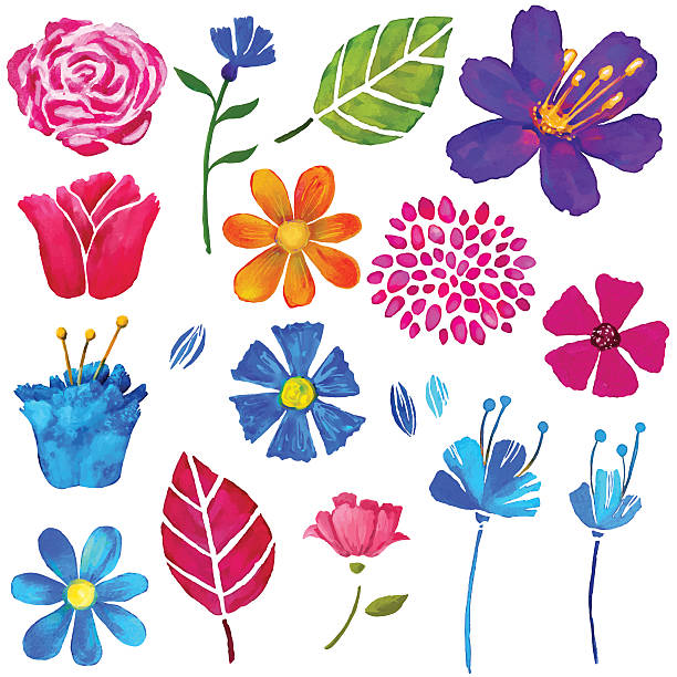 ręcznie malowane kwiatowy zestaw wodne, kwiaty i liście - wildflower set poppy daisy stock illustrations