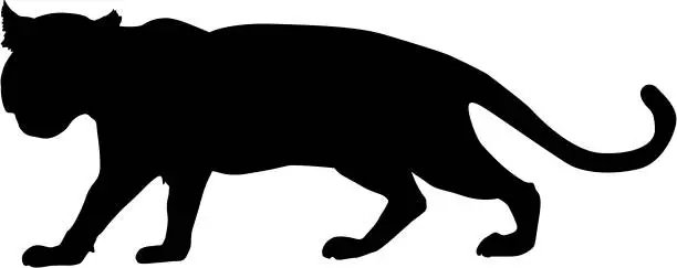 Vector illustration of panther