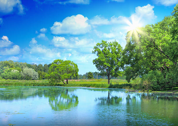 istock Landscape of beautiful lake and sunlight 467468431