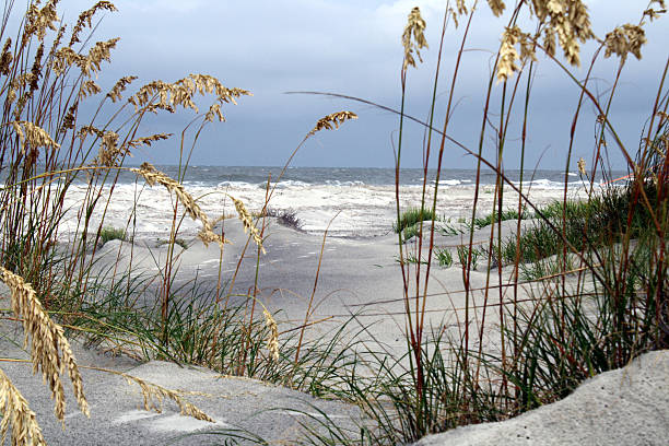 istock Beach Scene on Carolina Coast 467468611