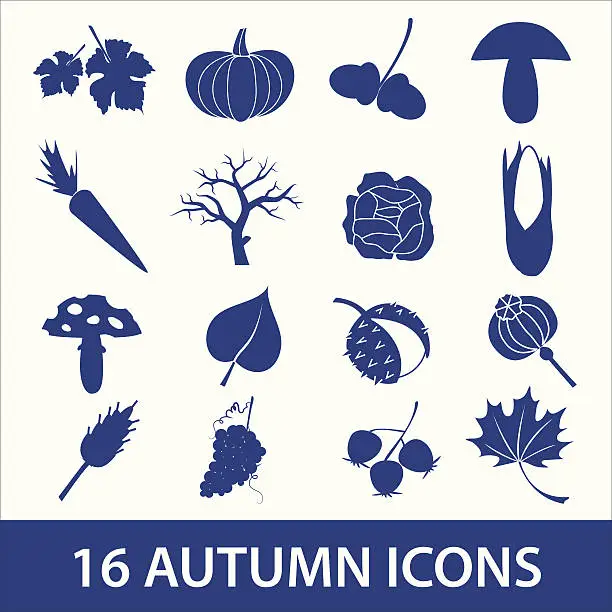 Vector illustration of autumn icons eps10