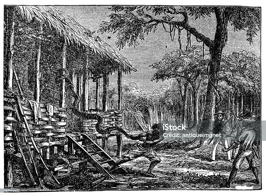 Victorian engraving of huge snake in a jungle village photographed from a book  titled 'The World's Wonders as Seen by the Great Tropical and Polar Explorers' published in London 1883.  Copyright has expired on this artwork. Digitally restored. Antique stock illustration