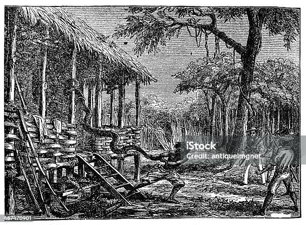 Victorian Engraving Of Huge Snake In A Jungle Village Stock Illustration - Download Image Now