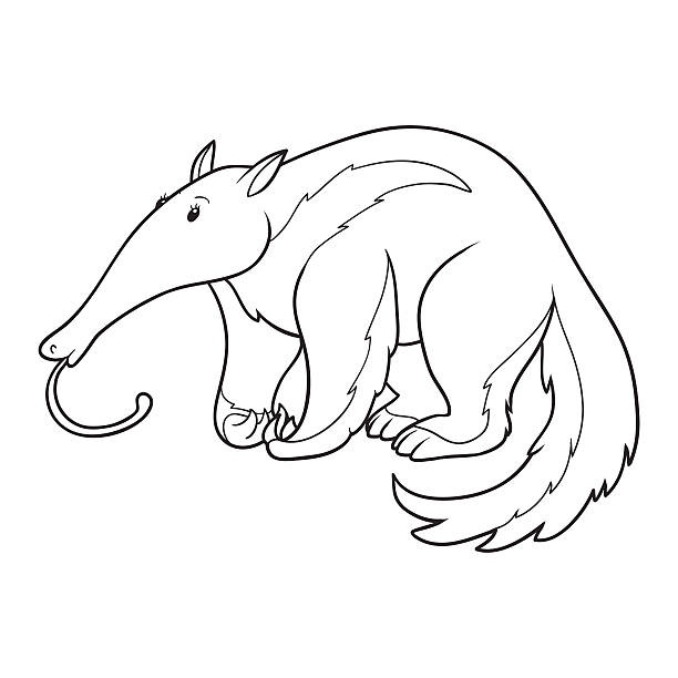 книга-раскраска (муравьед) - anteater animal nose animal ant stock illustrations