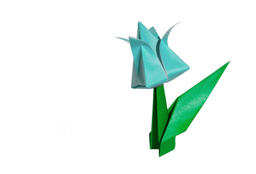 Origami flower, tulip, isolated on white