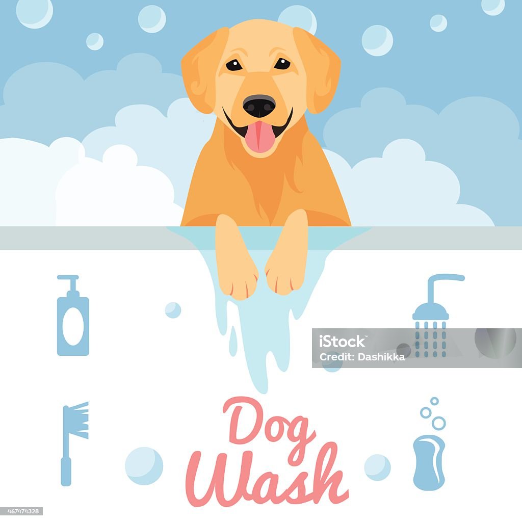 Dog wash Dog washing in bath in flat style. Vector illustration Golden Retriever stock vector