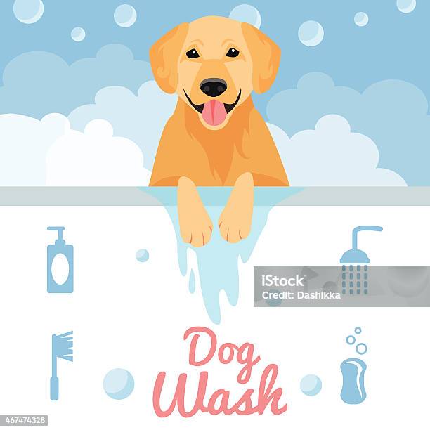 Dog Wash Stock Illustration - Download Image Now - Golden Retriever, Dog, Bathtub