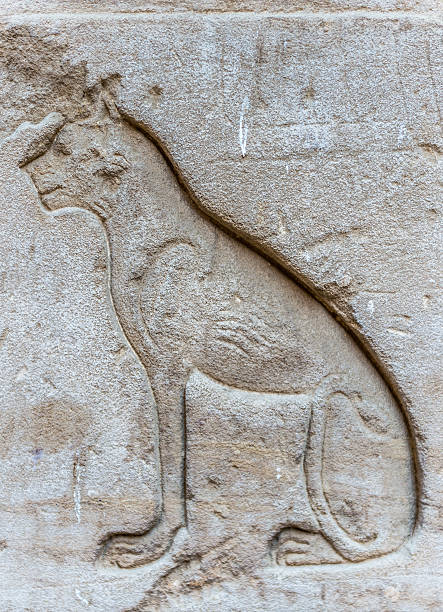 istock Ancient well preserved original Egyptian hieroglyphs 467474590
