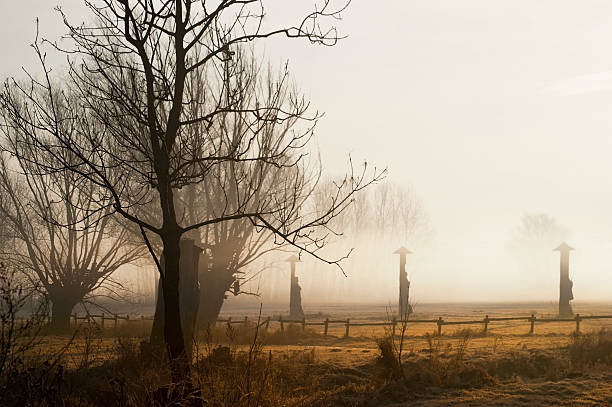 Morning Mist on Meadow at Sunrise