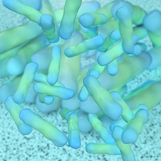 istock Microscope view of rod-shaped Shigella Dysenteriae bacteria 467475176