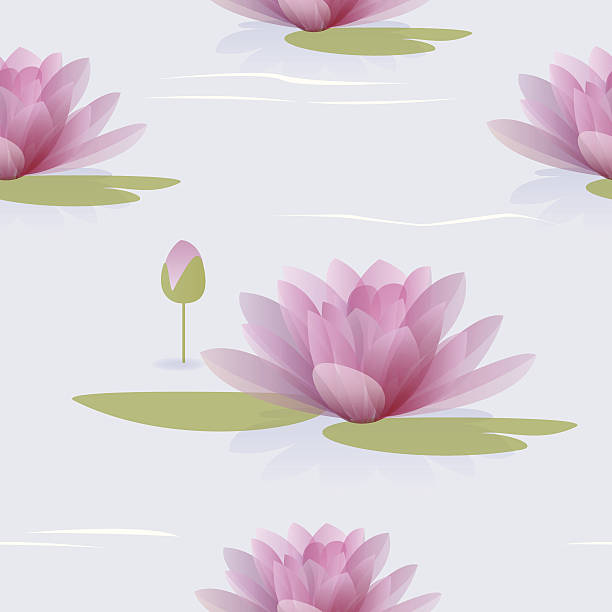 illustrations, cliparts, dessins animés et icônes de motif sans couture avec waterlilies - water lily single flower flower water