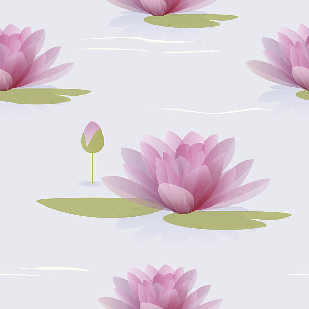 bezszwowe wzór z waterlilies - water lily single flower flower water stock illustrations