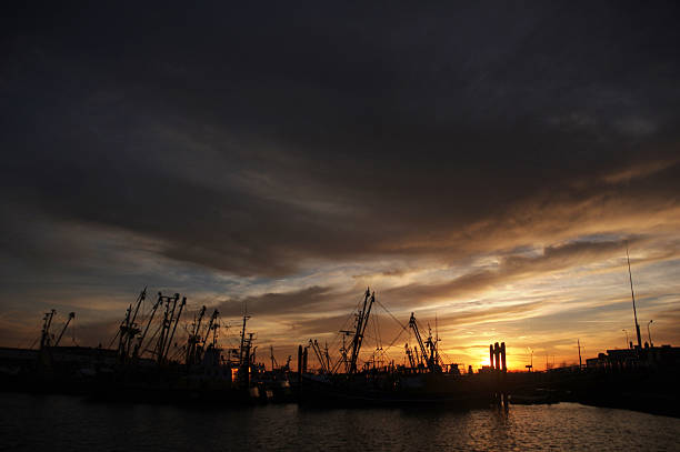istock Fishing boats in the harbor 467482992