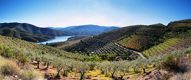 plantation campos del lago y cerca de la aldea de la pesga - caceres fotografías e imágenes de stock