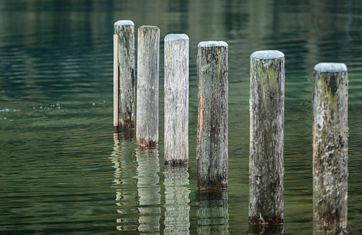 Old jetty Pylons in a natural very clear green lake in germany.