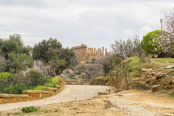 templo de juno. valle de los templos, agrigento. sicilia. - greek culture agrigento landscape colonnade fotografías e imágenes de stock