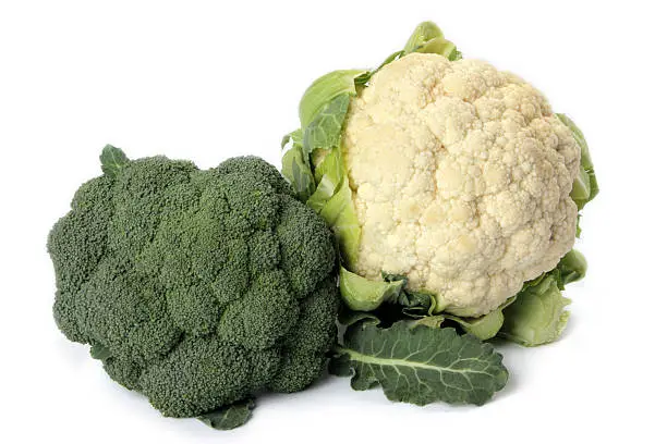 Photo of vegetable