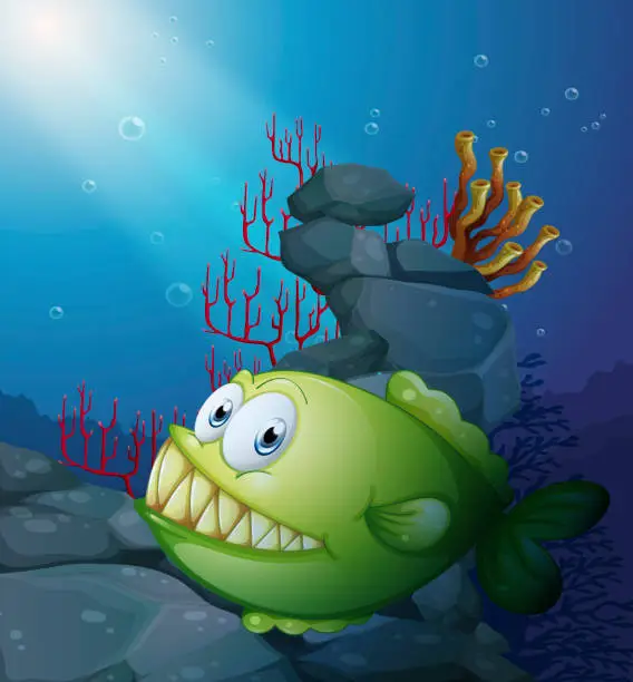 Vector illustration of big piranha under sea near the rocks