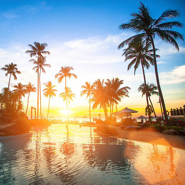 istock Sunset behind palm trees at a tropical beach resort pool 467498542