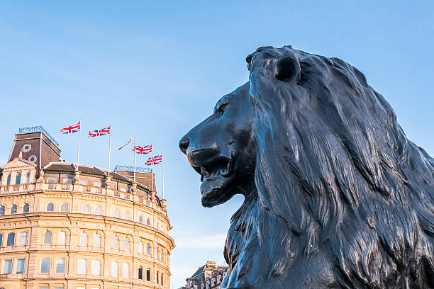 leone piazza trafalgar - lion statue london england trafalgar square foto e immagini stock