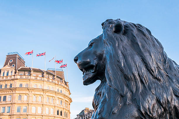 trafalgar square leão - praça trafalgar - fotografias e filmes do acervo