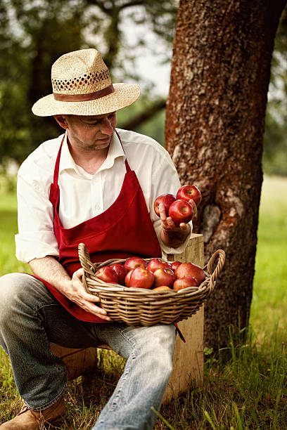 istock fruit grower in his orchard tasting apple harvest 467500727