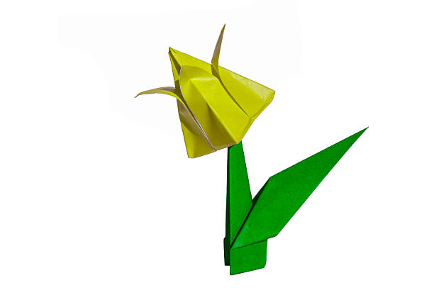 istock Origami yellow flower tulip isolated 467506493