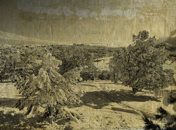 istock Winter retro photo 467507855