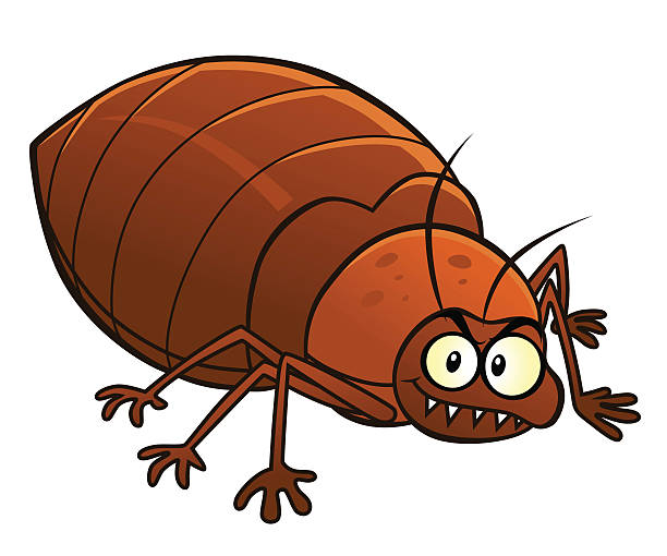 Cartoon Smiling Bedbug向量圖形及更多臭蟲圖片- 臭蟲, 2015年, 卡通- iStock