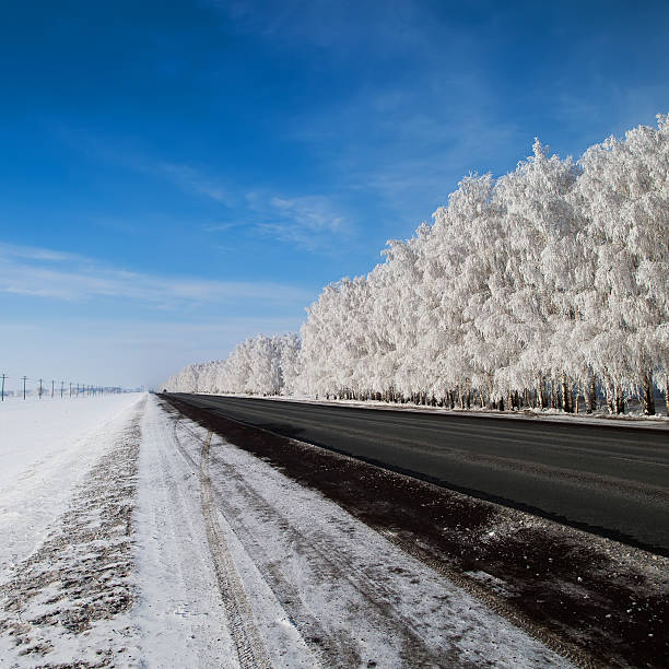 istock beautiful winter landscape with road and snow-covered trees. 467512304
