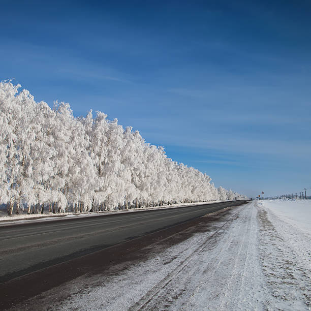 istock beautiful winter landscape with road and snow-covered trees. 467512330
