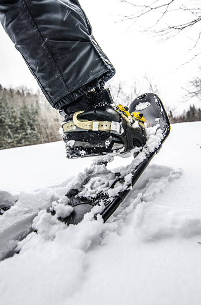 istock Close up on a snowshoe 467513338