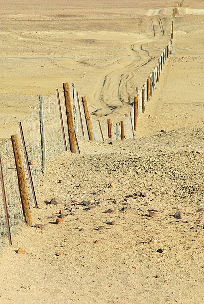 istock Dingoe fence in the Australian Outback. 467520284