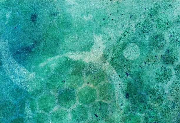 istock Hand painted watercolor with green and blue colors 467520648