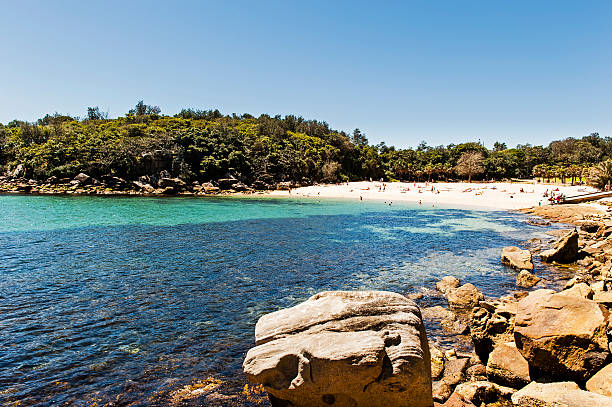 shelly beach oglądane z manly - manly beach sydney australia australia beach zdjęcia i obrazy z banku zdjęć